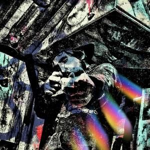 Meet your Posher, Bradley